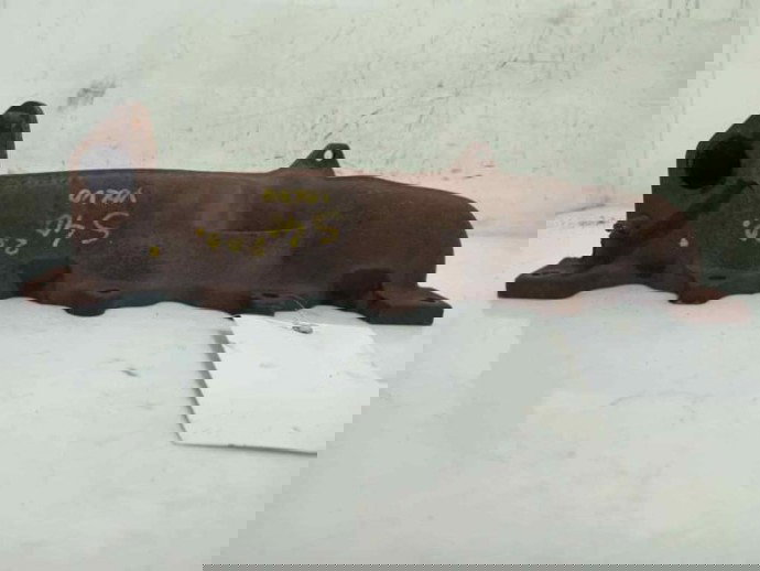 Galerie Evacuare 9646849080, Ford Focus 2 cabriolet, 2.0tdci