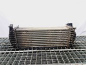 Radiator intercooler Renault Kangoo 2 Maxi (F61) [Fabr 2008-2022] 8200427469 1.5 DCI K9K808  