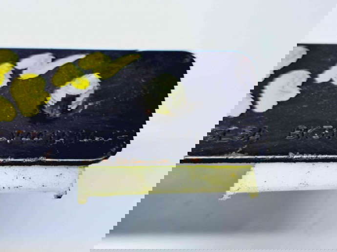 Broasca usa dreapta spate Ford Transit (TTG) [Fabr 2014-2023] BK31-V441A14-AH