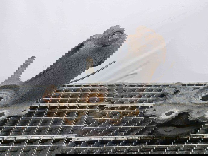 Fuzeta fata stanga Ford Focus 3 (CB8) [Fabr 2011-2015] AV61-3K171 1.6 T1DA  