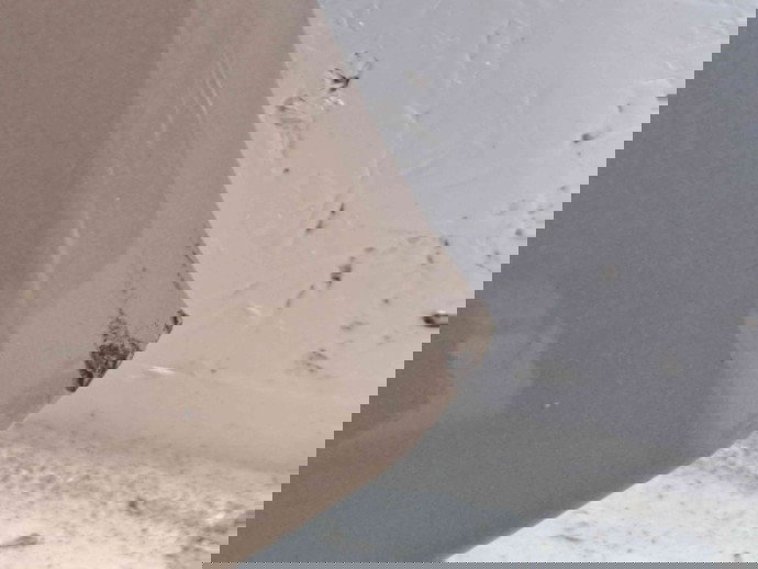 Aripa dreapta fata Ford Ecosport II [Fabr 2017-2024] OEM  