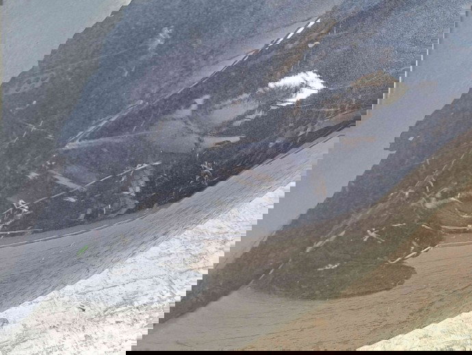 Aripa stanga fata Citroen C4 (I) Coupe [ Fabr 2004-2011] 9646133377  