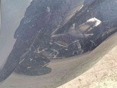 Aripa stanga fata Citroen C4 (I) Coupe [ Fabr 2004-2011] 9646133377  