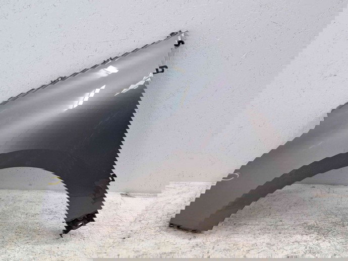 Aripa stanga fata Renault Scenic 4 [Fabr 2016-prezent] 631010815R  