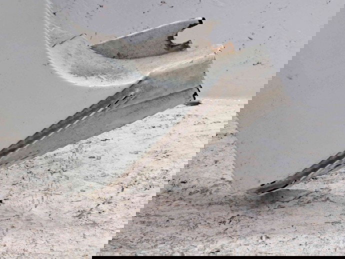 Aripa stanga fata Renault Clio 2 Coupe [Fabr 1998-2004] 8200085999G  