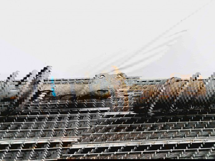 Amortizor dreapta fata Opel Meriva B [Fabr 2010-prezent] 22245142 | 13268597 1.4 Benz A14XER  1.4 Benz A14XER 55KW / 75CP