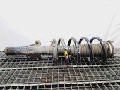 Amortizor dreapta fata Ford Transit (TTG) [Fabr 2014-2023] OEM 2.2 TDCI CYRA 92KW / 125CP 2.2 TDCI CYRA 92KW / 125CP