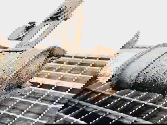 Amortizor stanga fata Opel Meriva B [Fabr 2010-prezent] 22245141 | 13268956 1.4 Benz A14XER   