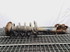 Amortizor stanga fata Hyundai Santa Fe 2 (CM) [Fabr 2005-2012] OEM 2.2 D4HB  2.2 D4HB 80KW / 109CP