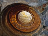 Fuzeta fata dreapta Volkswagen Scirocco (137) [Fabr 2008-2017] 1K0366C 2.0 TDI CFHC 103KW / 140CP 2.0 TDI CFHC 103KW / 140CP