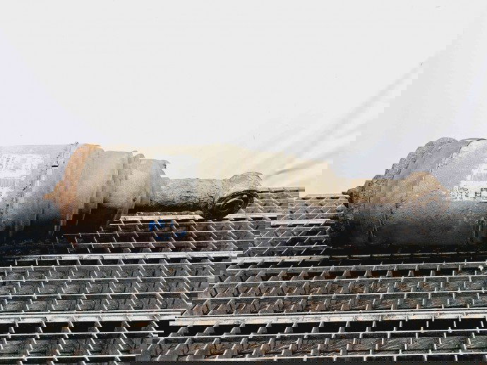 Perna aer dreapta spate LAND ROVER Range Rover Sport (LS) [Fabr 2002-2013] 22241479 2.7 V6 276DT 140KW / 190CP 2.7 V6 276DT 140KW / 190CP