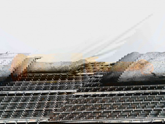 Perna aer stanga fata LAND ROVER Range Rover Sport (LS) [Fabr 2002-2013] 22241478 2.7 V6 276DT 140KW / 190CP 2.7 V6 276DT 140KW / 190CP