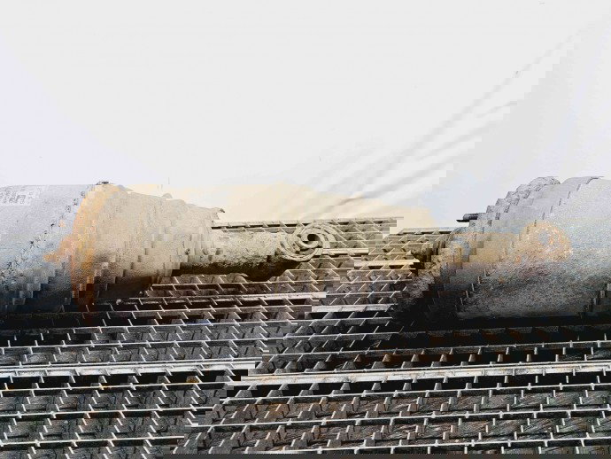 Perna aer stanga spate LAND ROVER Range Rover Sport (LS) [Fabr 2002-2013] RPD501030 2.7 V6 276DT 140KW / 190CP 2.7 V6 276DT 140KW / 190CP