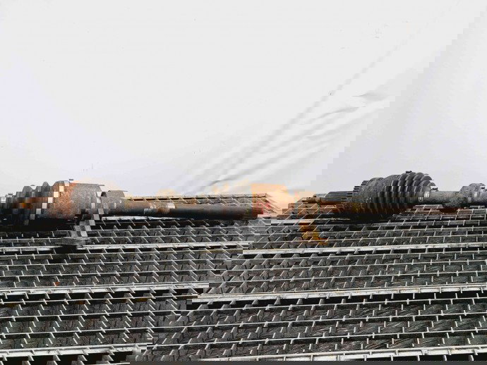 Planetara dreapta fata Hyundai Santa Fe 2 (CM) [Fabr 2005-2012] OEM 2.2 D4HB   