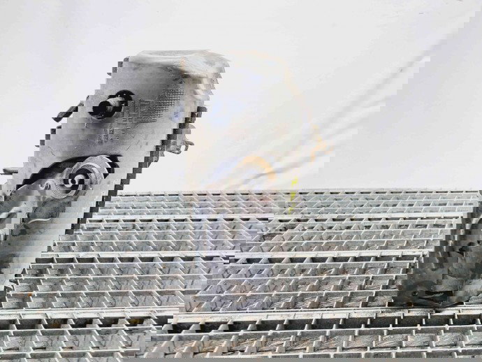 Pompa servodirectie Citroen Jumpy (II) [Fabr 2007-prezent] 1440092080 2.0   