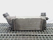 Radiator intercooler Citroen Jumpy (II) [Fabr 2007-prezent] 1440094280 2.0   
