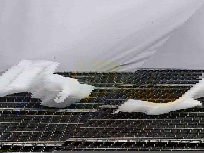  Vas lichid parbriz Ford Fiesta 6 [Fabr 2008-2019] 8A61-17B613-AG 1.25 Benz 60KW / 80CP