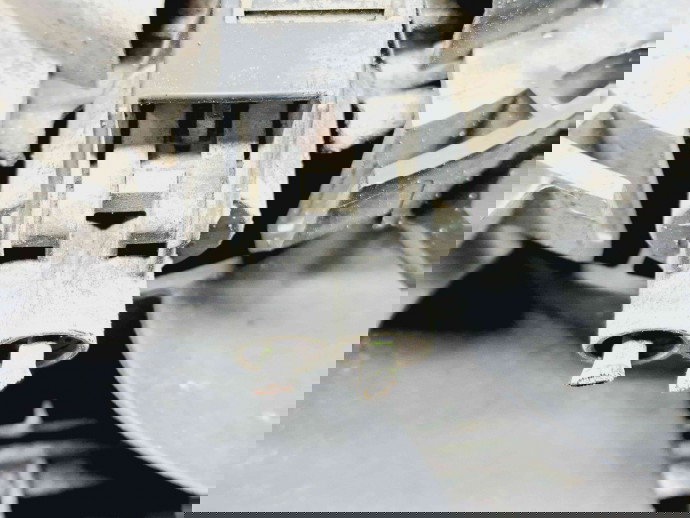 Electroventilator Ford Fiesta 6 [Fabr 2008-2019] 8V51-8C607-AF 1.25 Benz 60KW / 80CP  