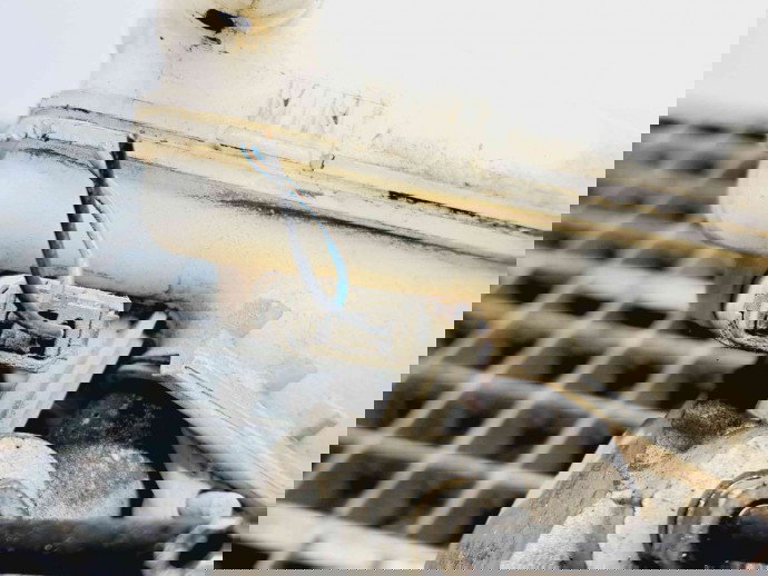 Tulumba frana Ford Fiesta 6 [Fabr 2008-2019] 8V51-2B195-DF | 0204054084 1.25 Benz  