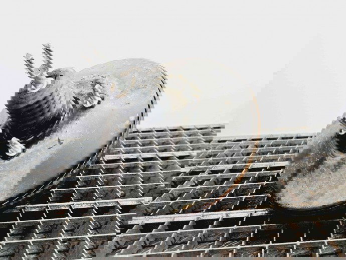 Tulumba frana Ford Fiesta 6 [Fabr 2008-2019] 8V51-2B195-DF | 0204054084 1.25 Benz  