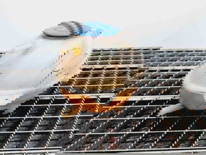 Vas expansiune Audi A3 Sportback (8PA) [Fabr 2004-2013] 1K0121407A