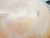 Vas expansiune Audi A3 Sportback (8PA) [Fabr 2004-2013] 1K0121407A