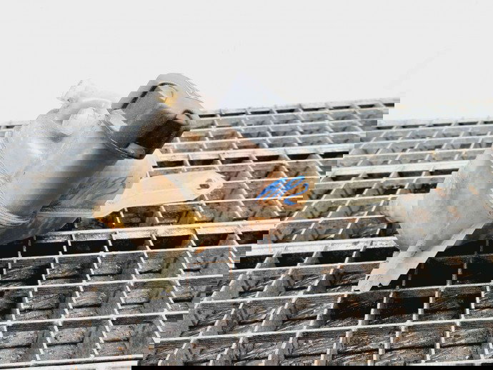 Vas expansiune Peugeot 508 [Fabr 2010-2018] OEM