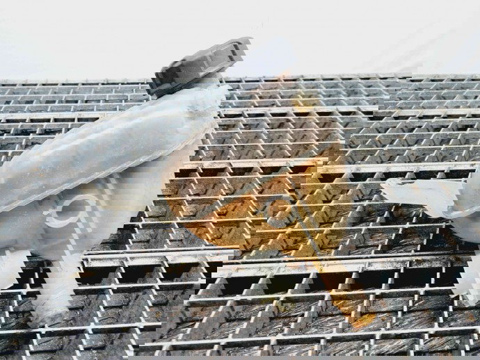 Vas expansiune Peugeot 508 [Fabr 2010-2018] OEM