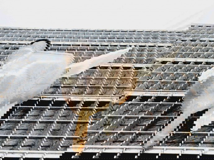 Vas expansiune Peugeot 508 [Fabr 2010-2018] OEM