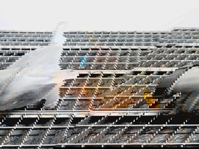 Vas expansiune Peugeot 508 [Fabr 2010-2018] OEM