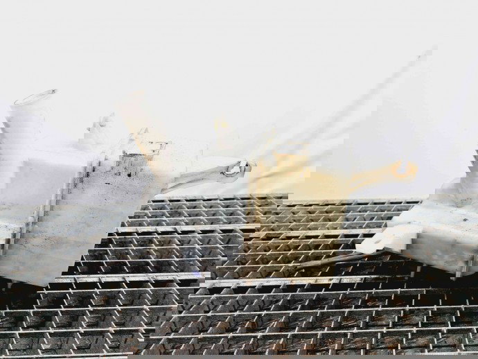  Vas lichid parbriz Opel Antara [Fabr 2006-2017] 96627002