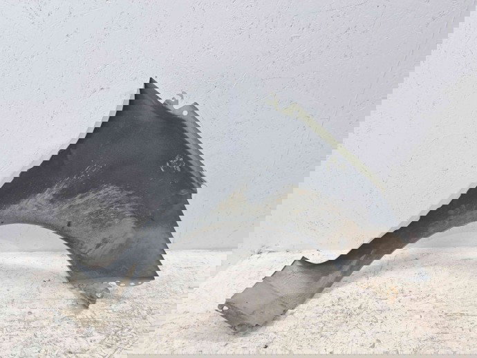 Aripa stanga fata Ford Fiesta 6 [Fabr 2008-2019] Moondust Silver (Me)