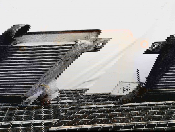 Radiator intercooler Nissan X-Trail (T30) [Fabr 2001-2007] OEM 2.2 YD22ETI  