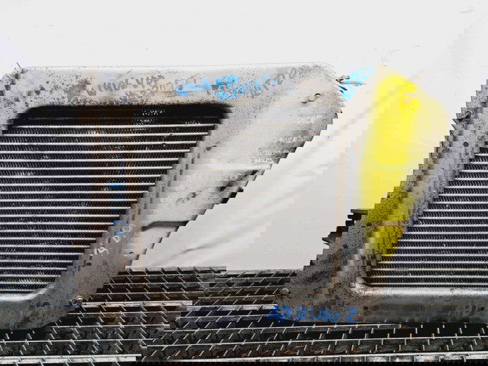 Radiator intercooler Nissan X-Trail (T30) [Fabr 2001-2007] OEM 2.2 YD22ETI  