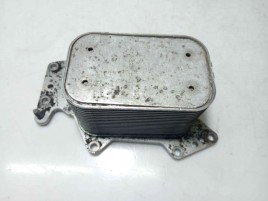 Termoflot Radiator Racitor Ulei 059117021K, Audi A4 (8K2, B8) 3.0 TDI, CCWA