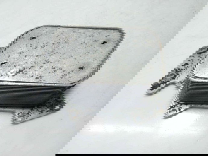 Termoflot Radiator Racitor Ulei 059117021K, Audi A6 (4F2, C6), 3.0 TDI, CDYA