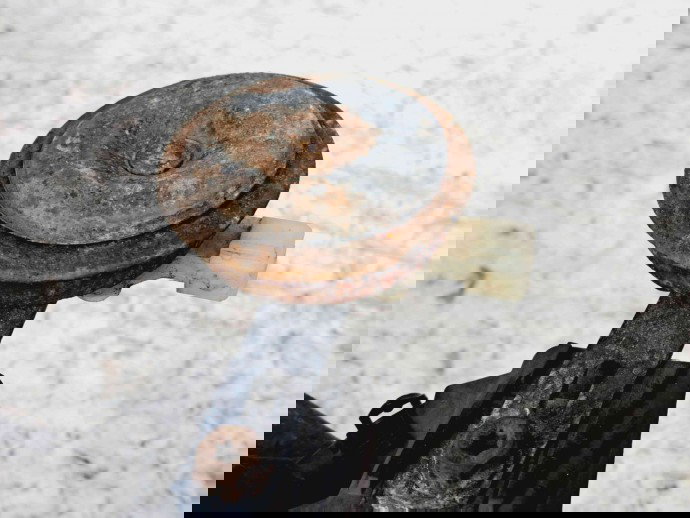 Trager Renault Kangoo 2 Maxi (F61) [Fabr 2008-2022] 8201130847