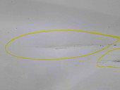 Usa dreapta fata Ford Transit (TTG) [Fabr 2014-2023] FROZEN WHITE