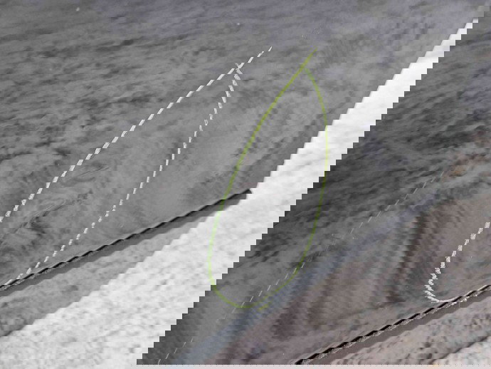 Usa stanga fata Volkswagen Passat B6 (3C2) [Fabr 2005-2010] 3C4831311