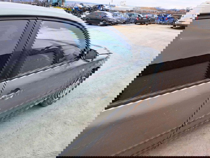 Usa dreapta fata Volkswagen Passat B5.5 (3B3) [Fabr 2000-2004] LA6W