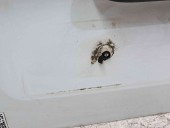 Usa stanga spate Renault Kangoo 2 Maxi (F61) [Fabr 2008-2022] O389