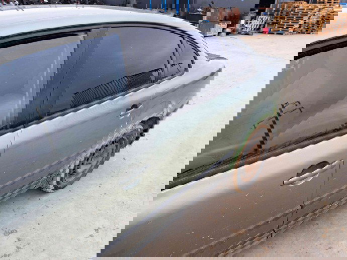 Usa stanga spate Volkswagen Passat B5.5 (3B3) [Fabr 2000-2004] LA6W