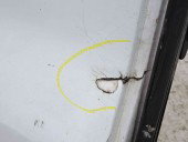 Usa stanga spate Ford Transit (TTG) [Fabr 2014-2023] FROZEN WHITE