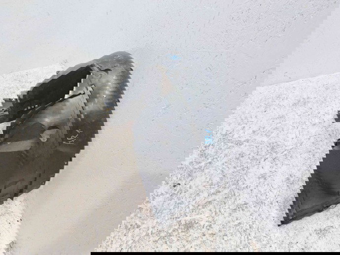 Carenaj roata dreapta fata Dacia Sandero 2 Stepway [Fabr 2012-prezent] 638407903R