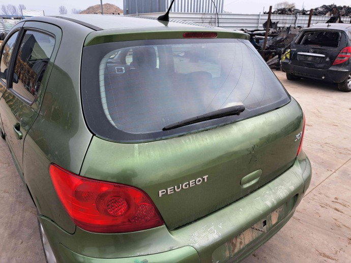 Haion Peugeot 307 [Fabr 2000-2008] KGA