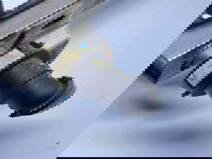 Rampa injectoare Opel Astra J [Fabr 2009-2015] 55572731 | 0280151258 1.4 Benz A14XER  