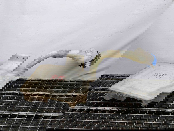  Vas lichid parbriz Seat Leon (1P1) [Fabr 2005-2011] 1K0955453Q