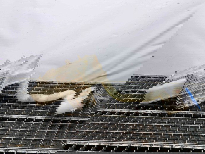  Vas lichid parbriz Seat Leon (1P1) [Fabr 2005-2011] 1K0955453Q