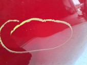 Capota Seat Leon (1P1) [Fabr 2005-2011] LS3H