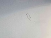 Capota Toyota Rav 4 III (ACA3, ACE, ALA3, GSA3, ZSA3) [Fabr 2005-2013] ALBASTRU